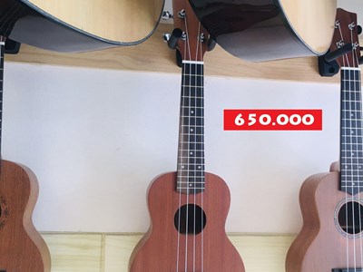 Đàn Ukulele size 21" - 5 - 650.000 